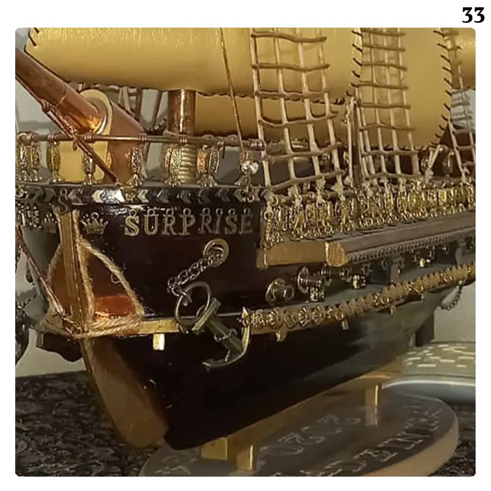 ناوگان دریایی سورپرایز