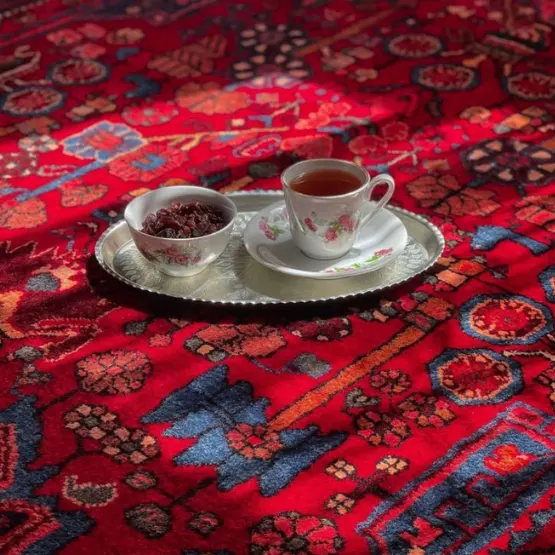 محصولات فروشندگان 33 (11)