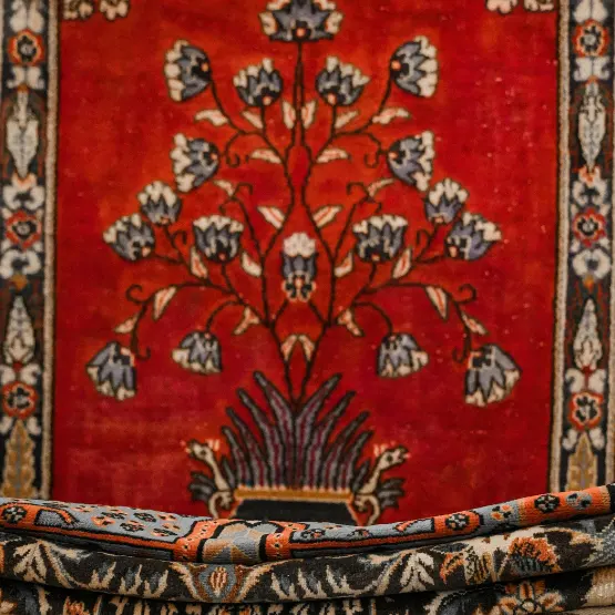 محصولات فروشندگان 33 (6)